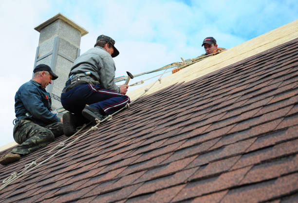 Best Roof Waterproofing Services  in Baxter Estates, NY